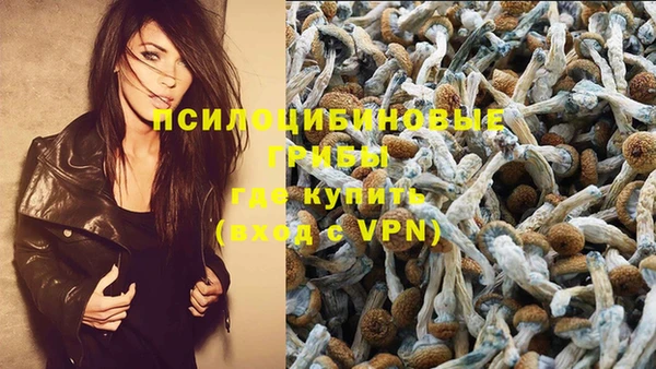 герыч Каменногорск