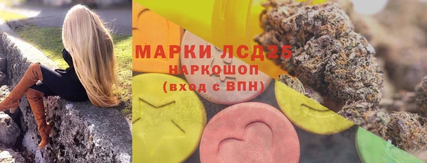 герыч Каменногорск