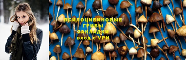 герыч Каменногорск